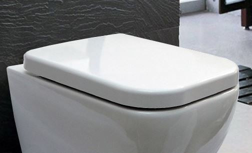 WC lid Duroplast WC seat